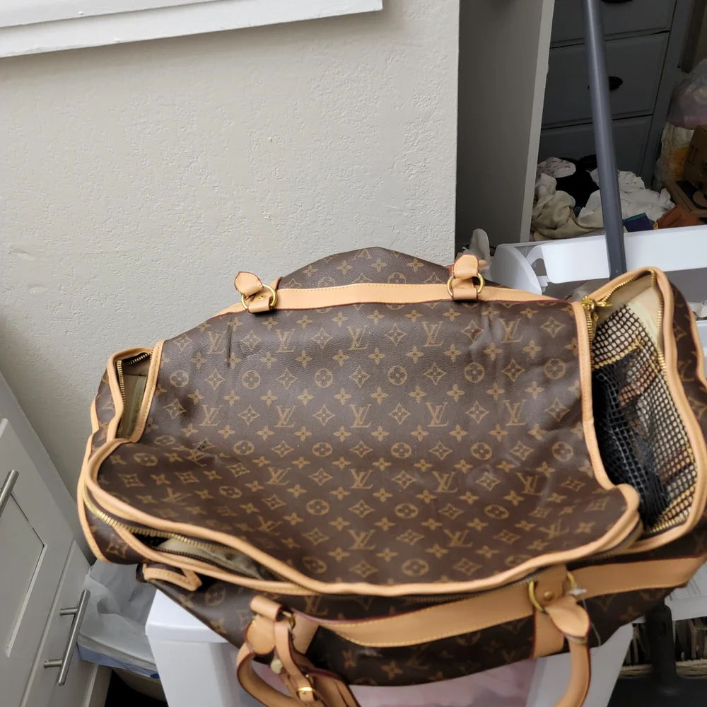 Louis Vuitton elegant louis